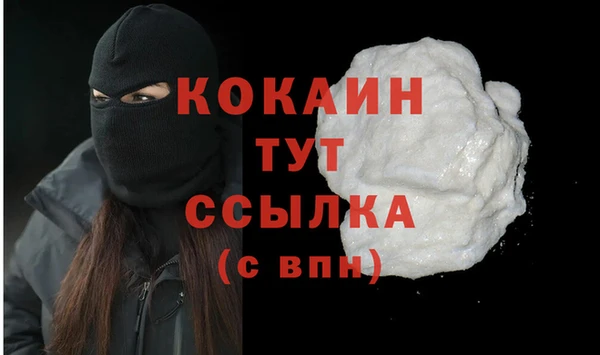 СК Надым